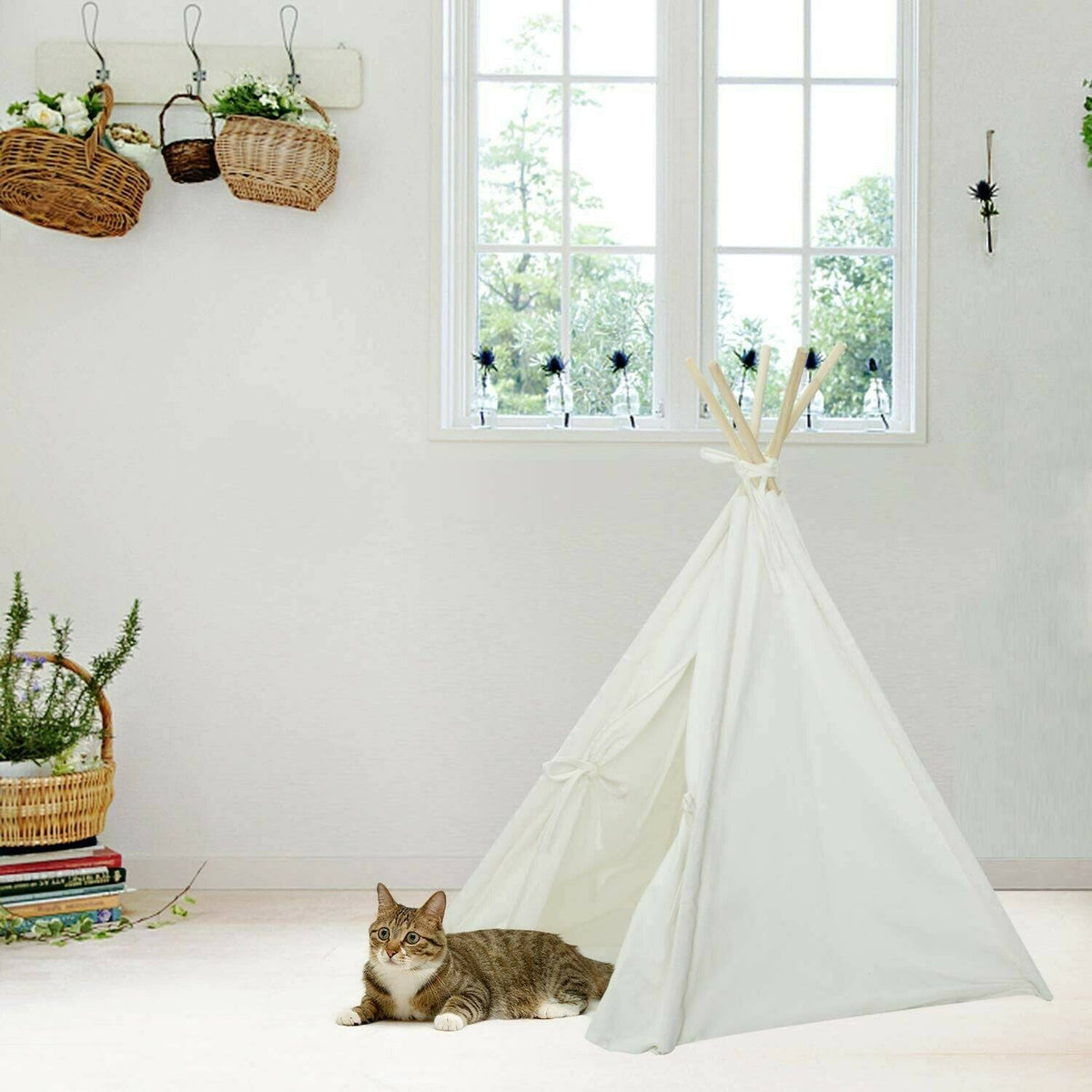 Foldable Cotton Canvas Pet Bed V1076