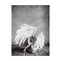 Canvas Art I5791