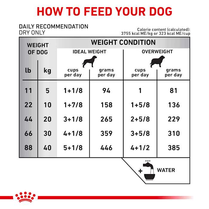 Dry Dog Food A21984