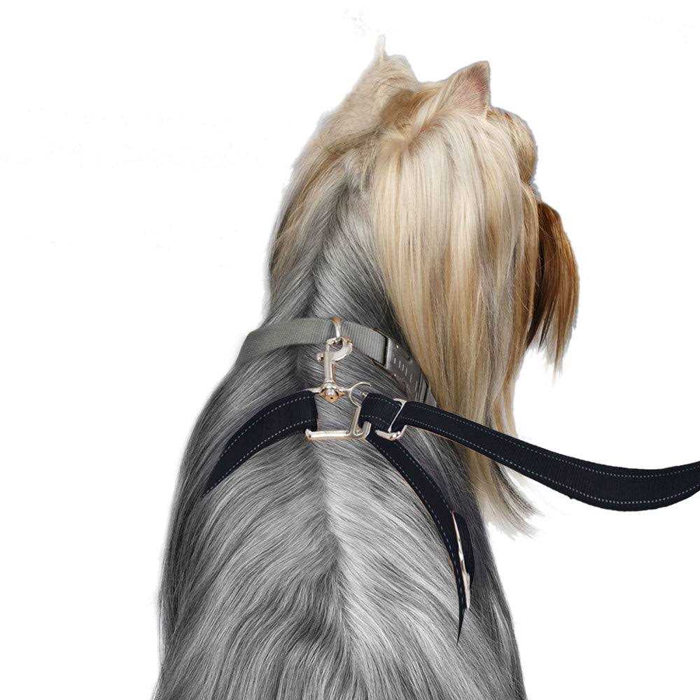 Dog Leash B1915