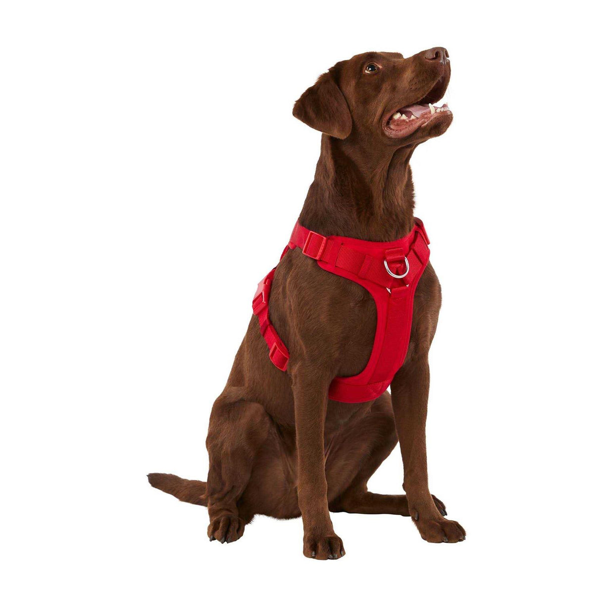 Neoprene Dog Harness R711054