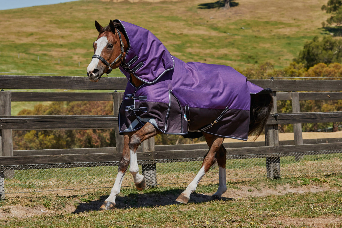 Purple Black Lite Detach-A-Neck U724511