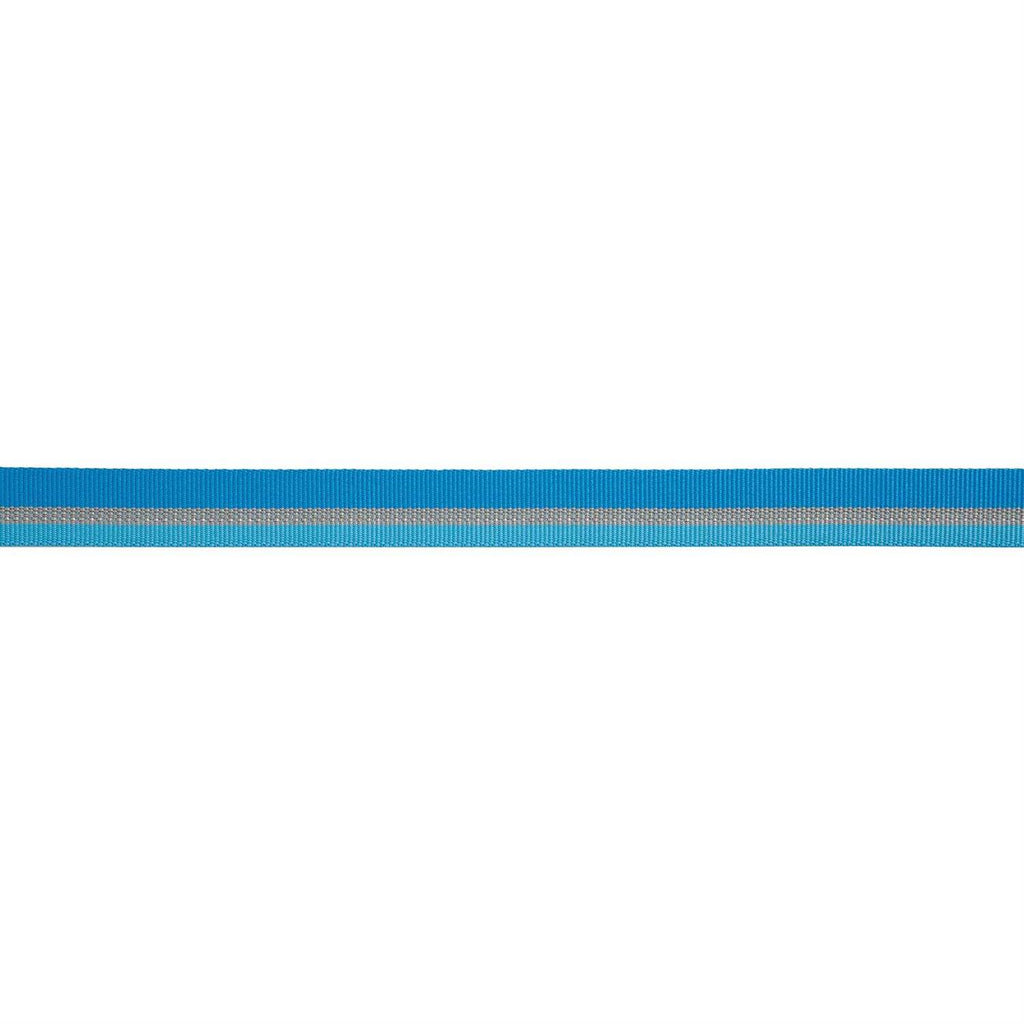 Dog Collar B79097