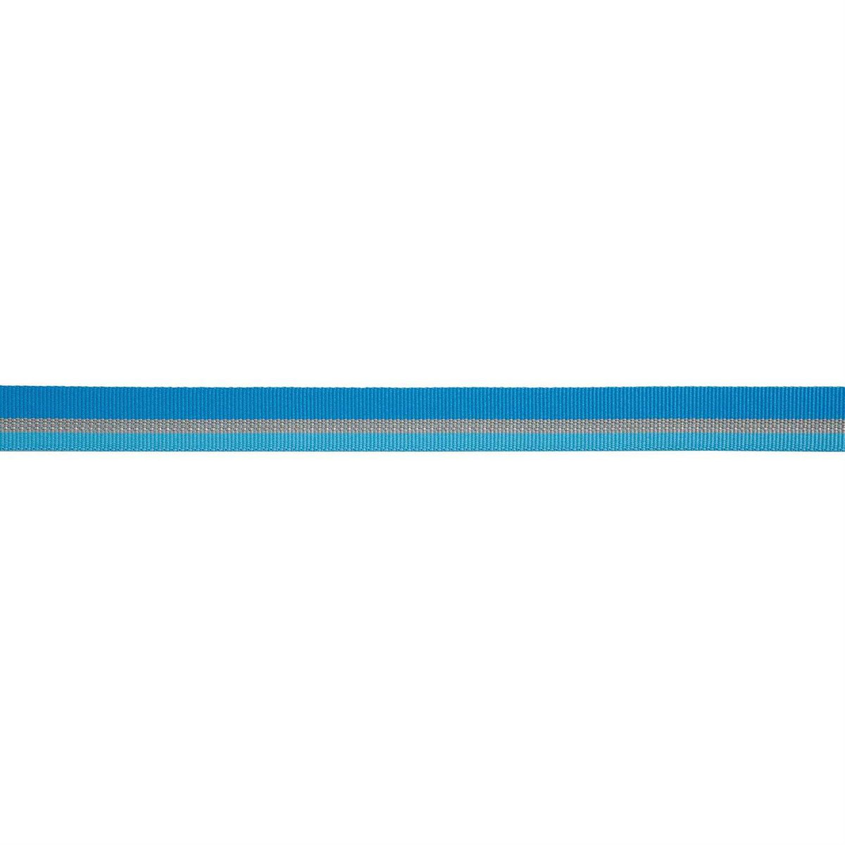 Dog Collar B79097