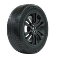All Season 255/65R18 111H Passenger Tire Q6493