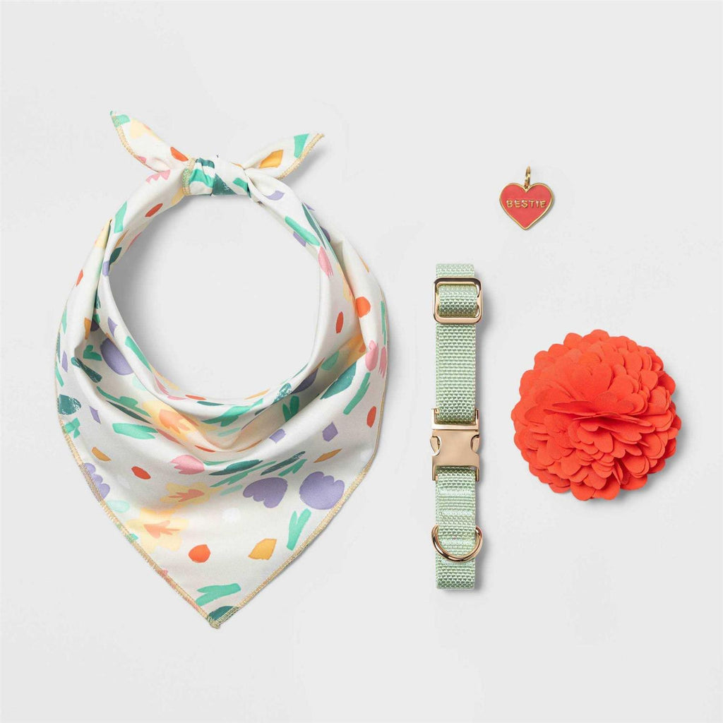 Solid Dog Collar O312424