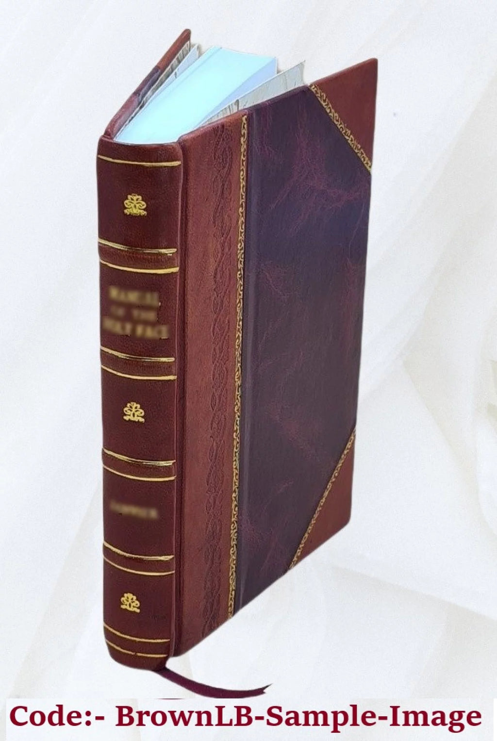 Leather Bound Book O16052