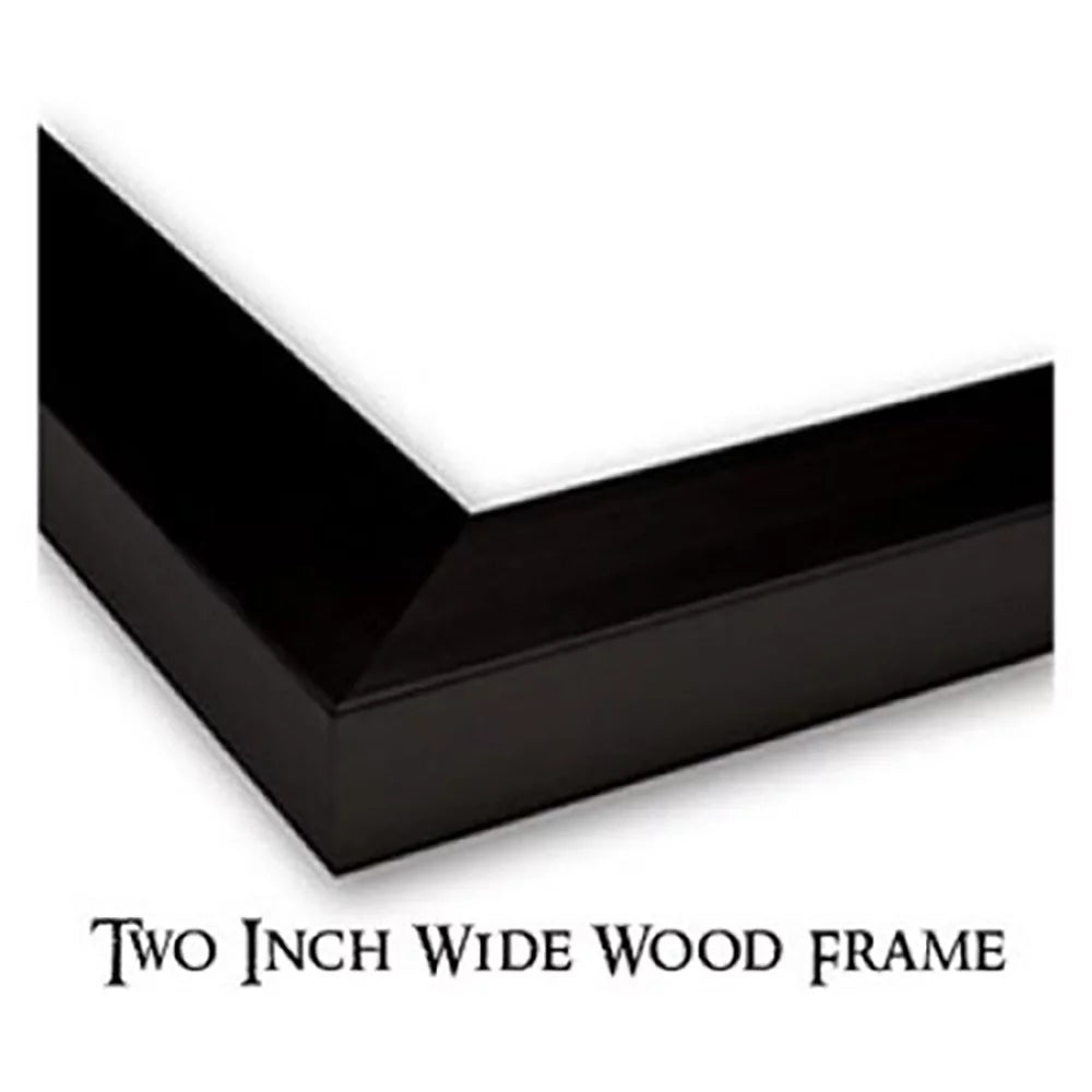 Black Framed Art Print C46847