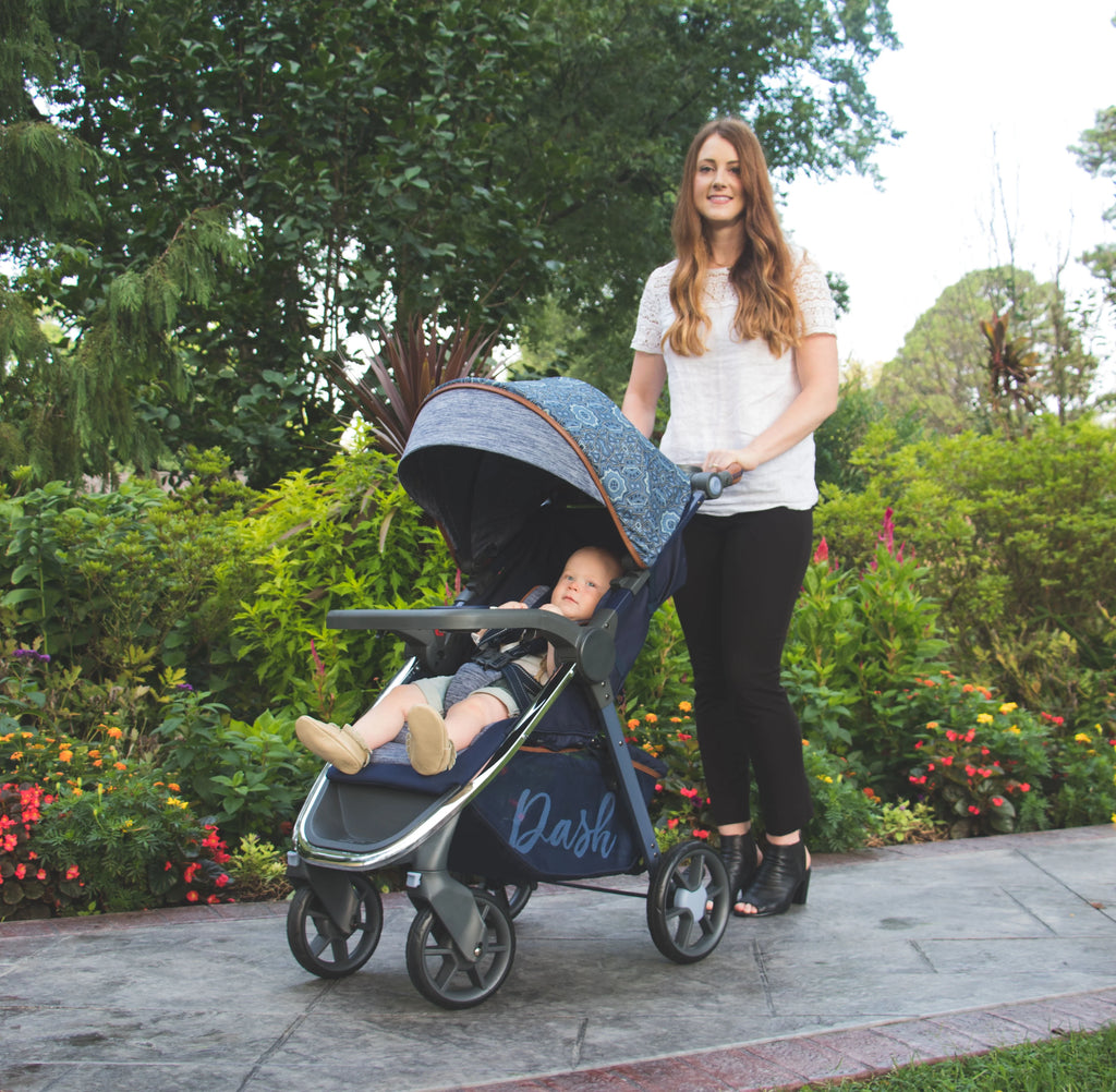 Stroller and Infant Car Seat V853