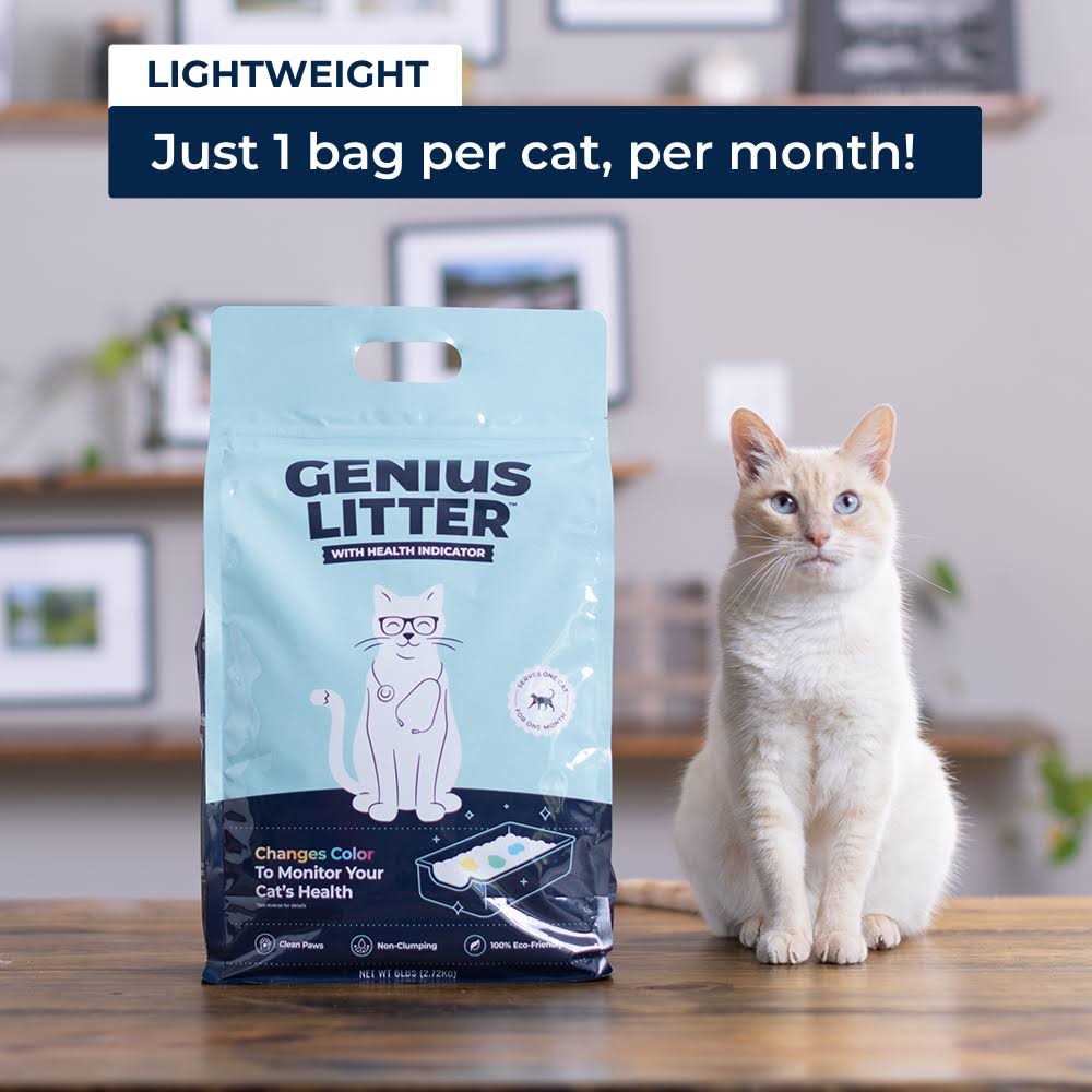 Cat Litter Y604691