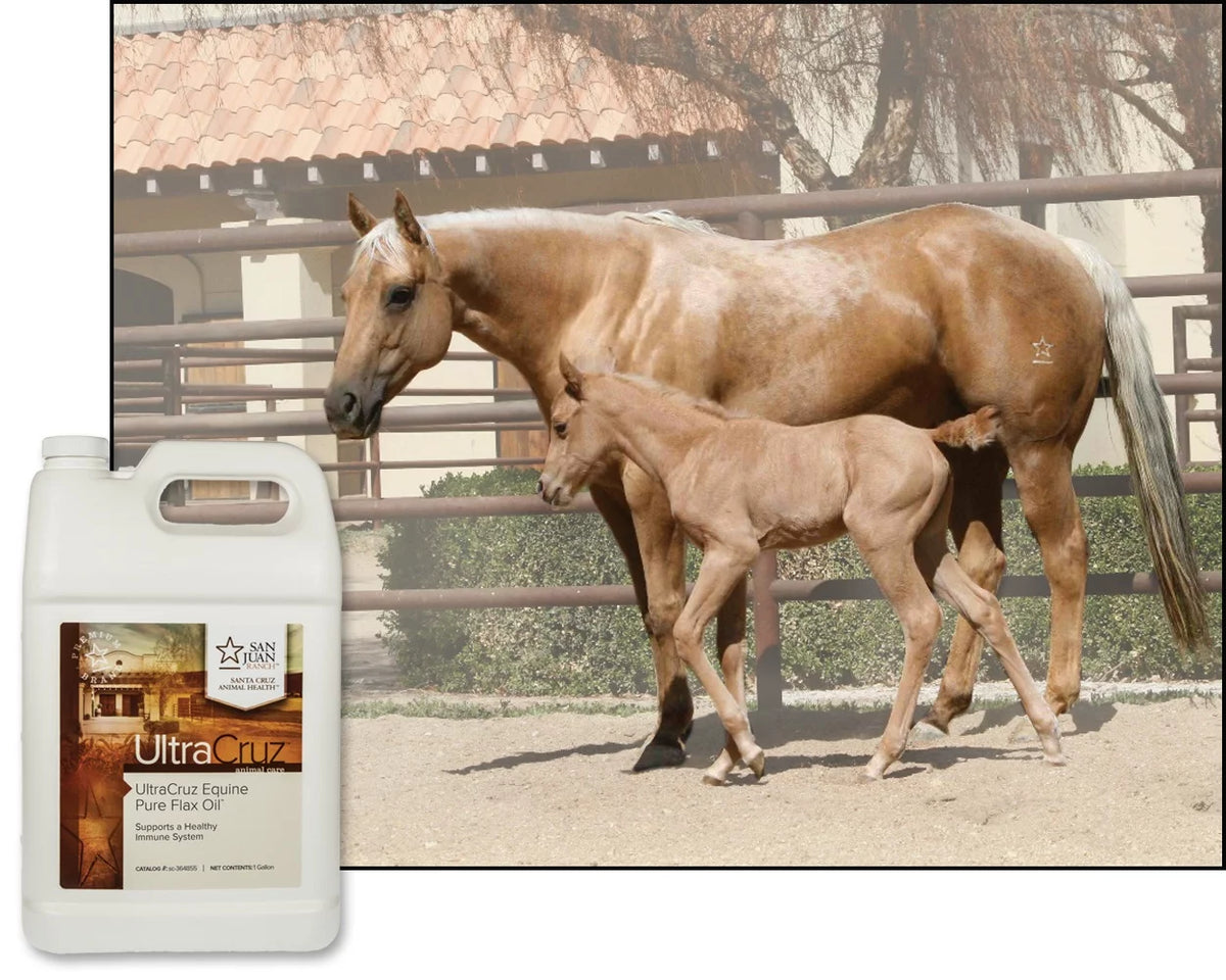 Pure Flax Oil Supplement for Horses and Livestock, 4 x 1 Gallon O24338