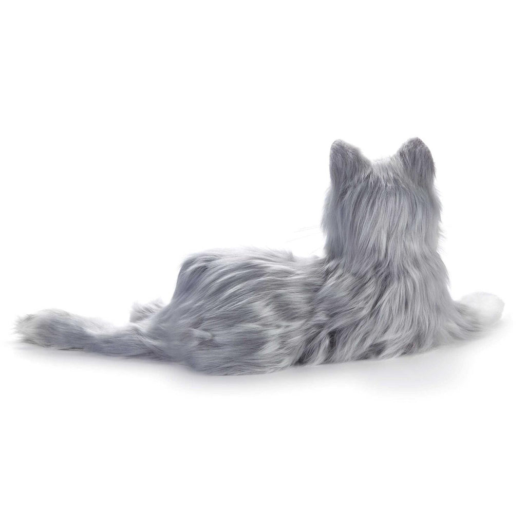 Companion Pet Cat Q528