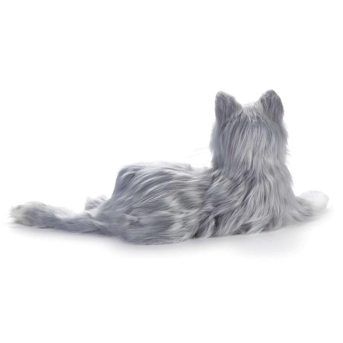 Companion Pet Cat Q528