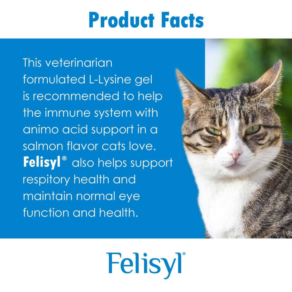 L-Lysine Gel for Cats H709