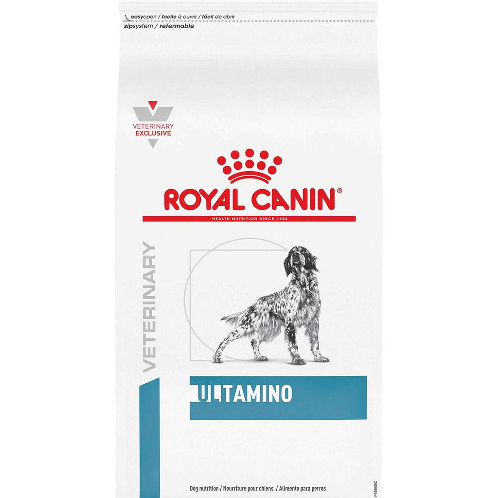 Dry Dog Food A21984
