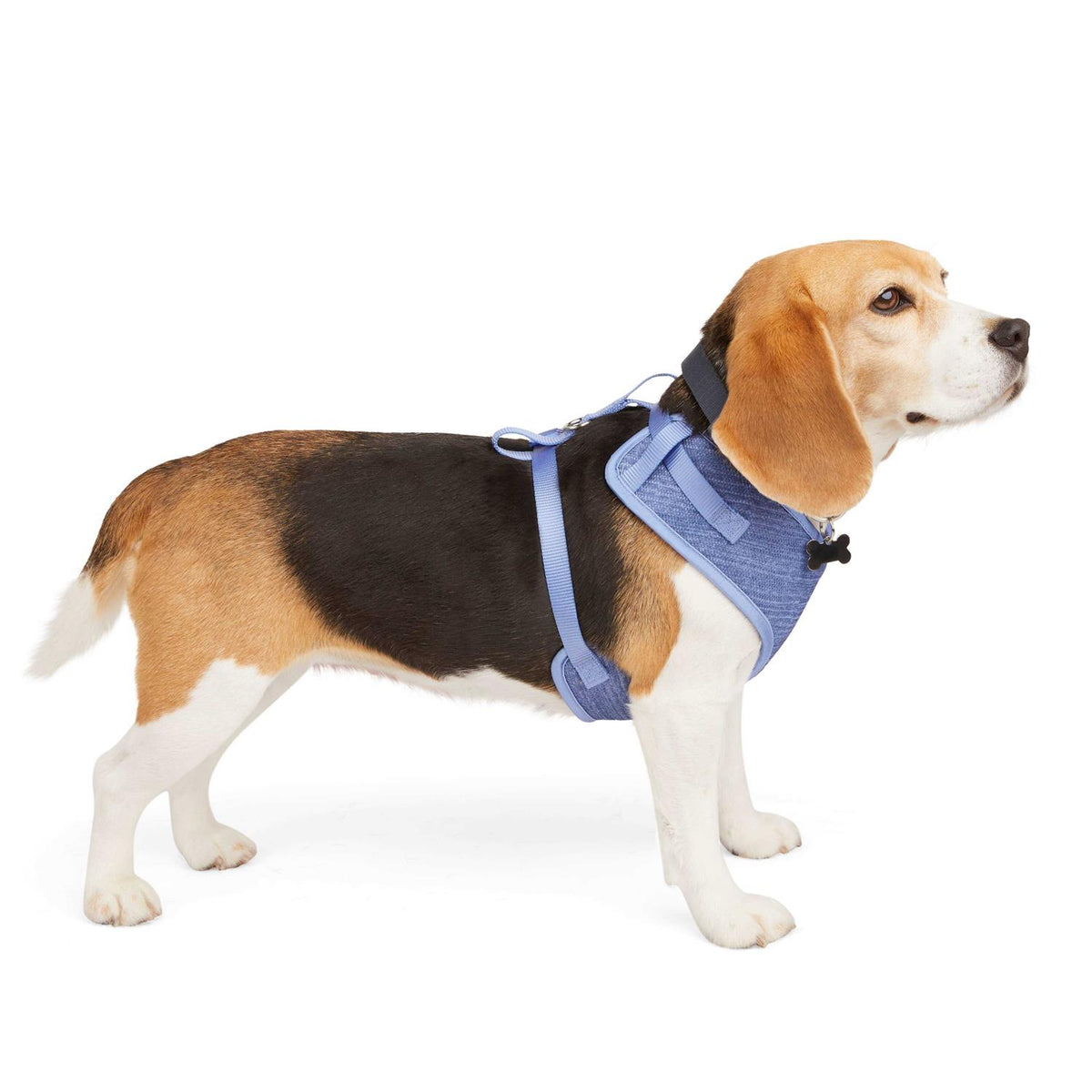Heather Pullover Dog Harness K465122