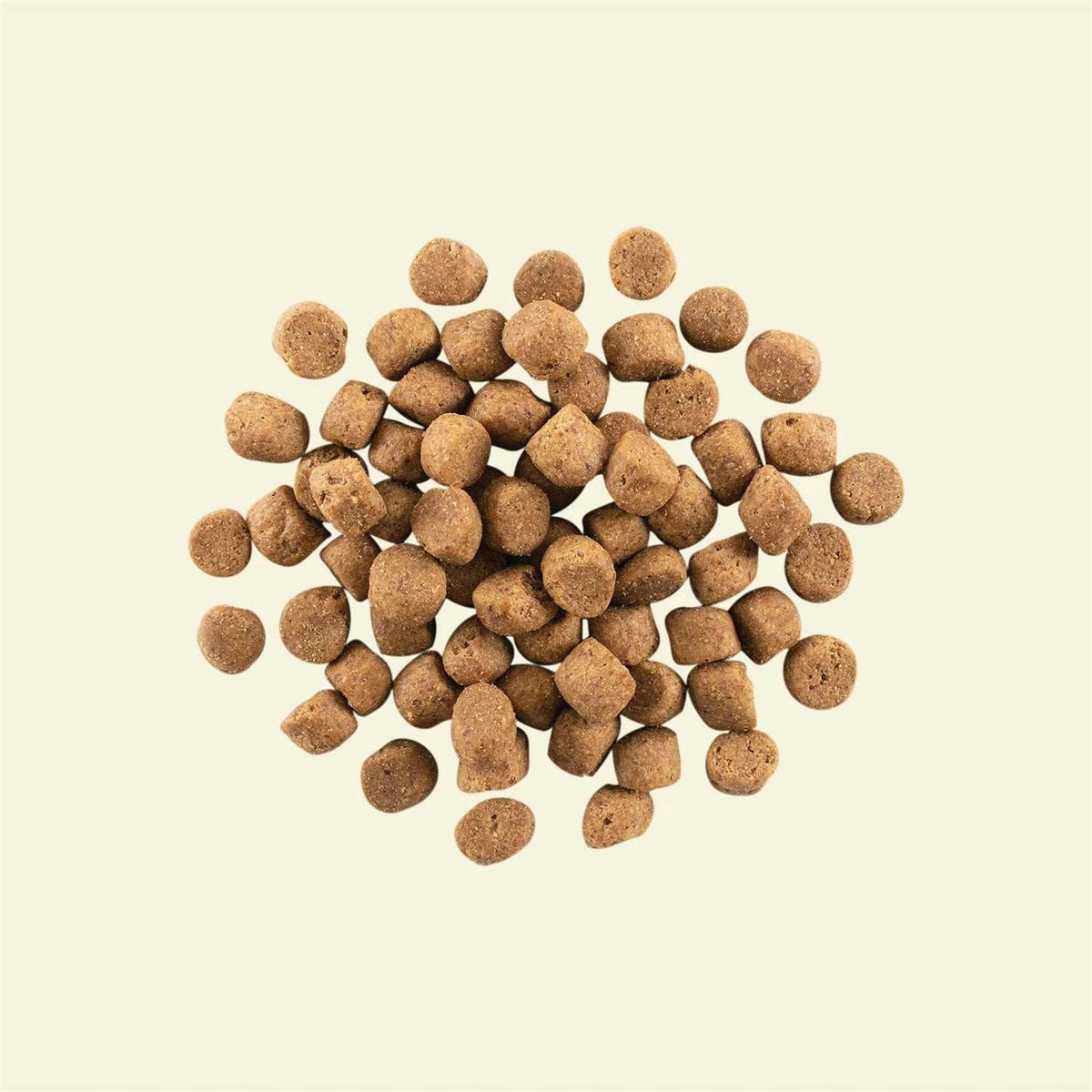 Grain-Free Puppy Dry Dog Food B470