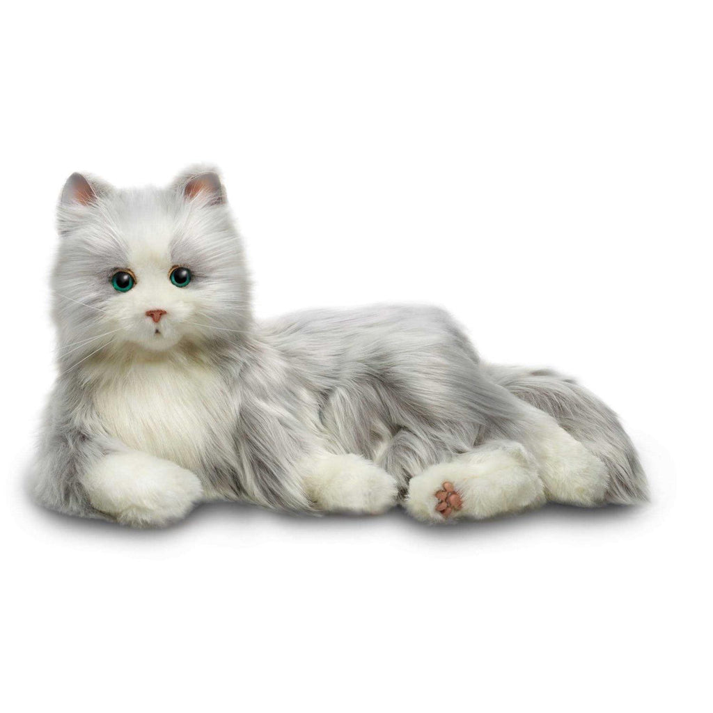 Companion Pet Cat Q528