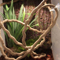 8-Foot Reptile Vines Flexible Jungle Climber U930