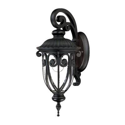 1-Light Matte Black Outdoor Wall Lantern C64898