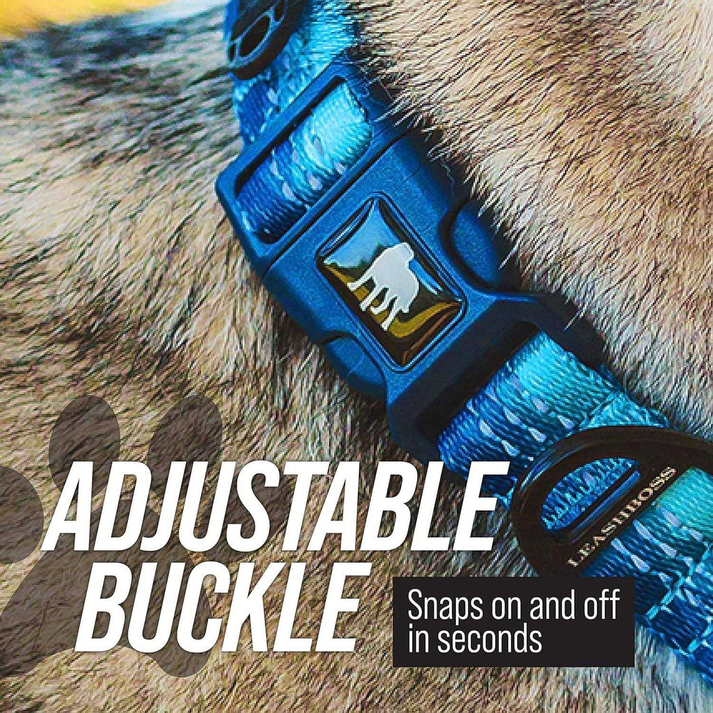 Patterned Fabric Martingale Dog Collar D5678