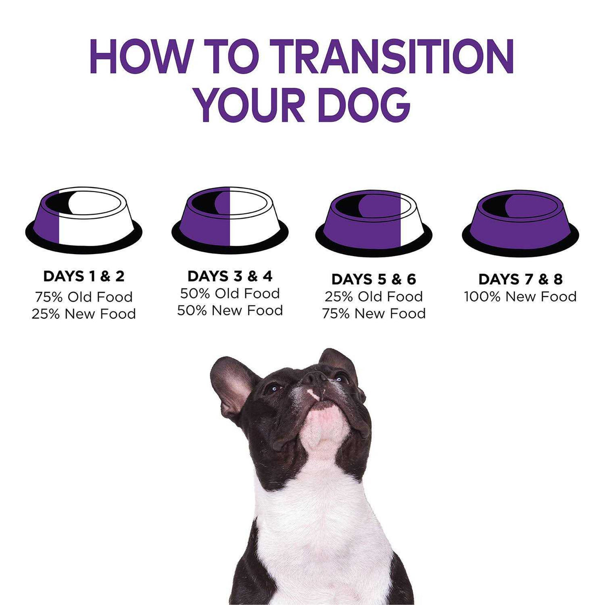 Small Breed Dog Food P54091