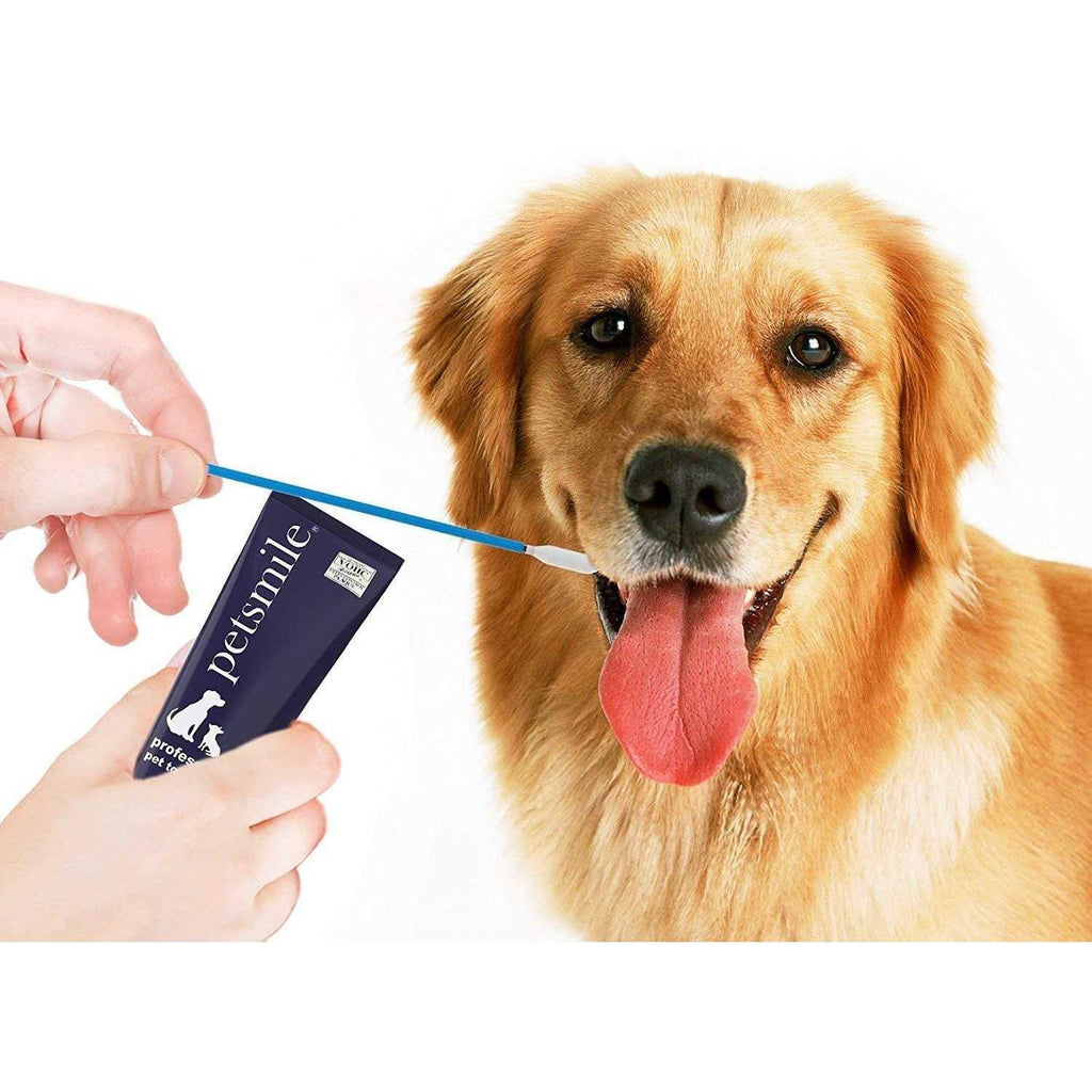 Pet Toothpaste Applicator Swabs E747