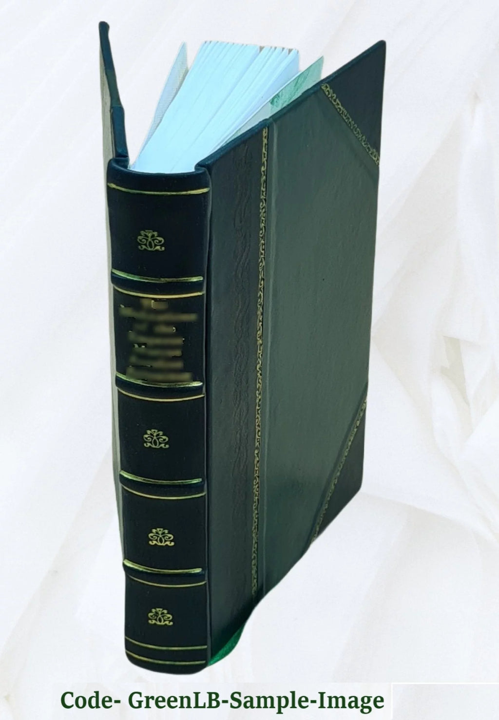 Leather Bound Book O16052